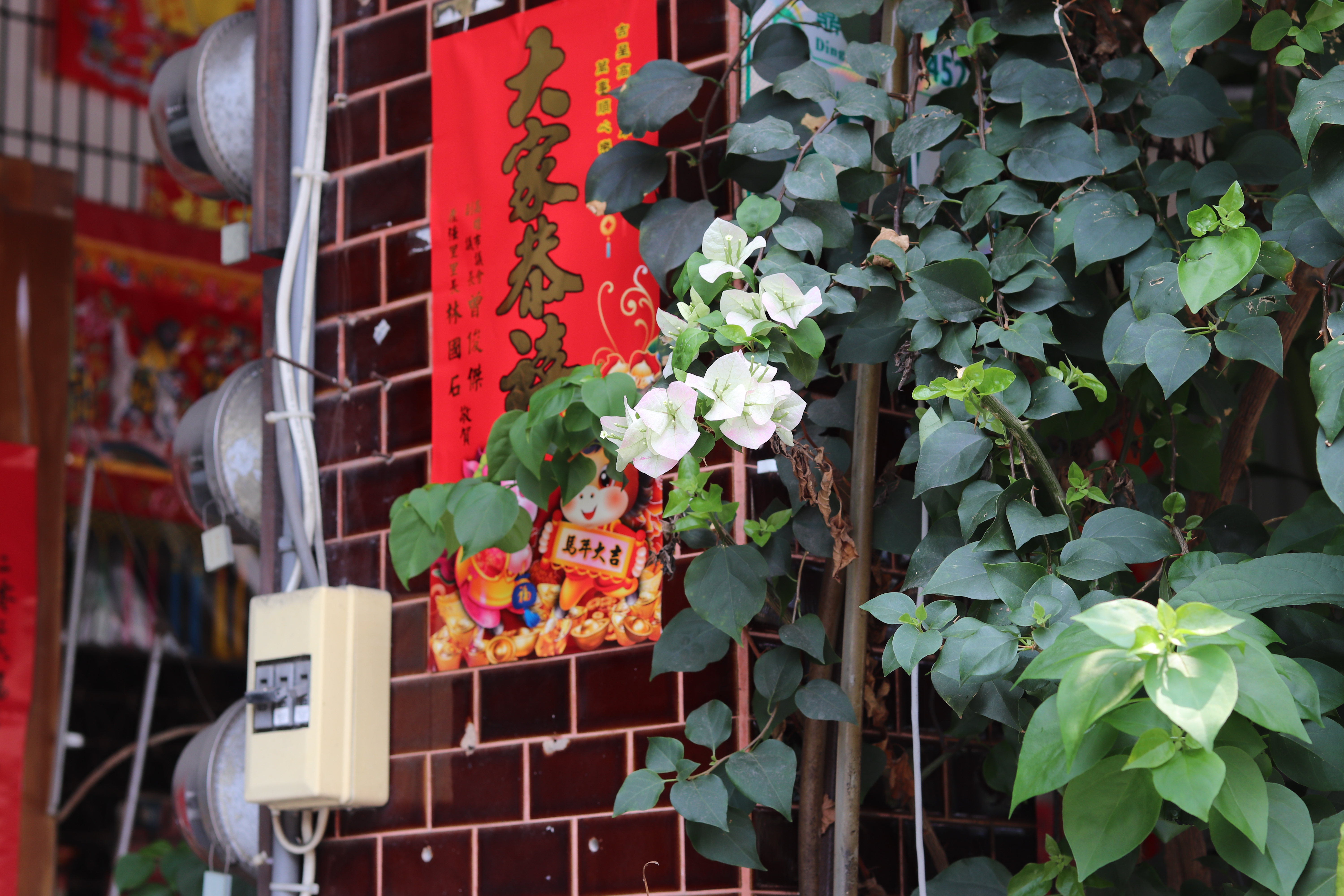 Near Wenzao University in Kaohsiung