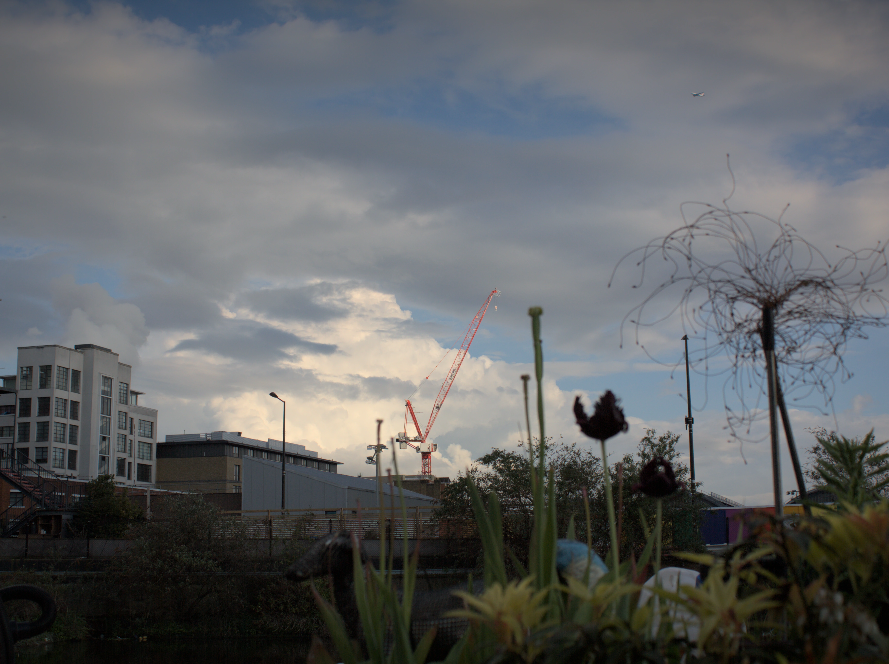 A red crane far in the distance with white clouds behind it, blurry dried flower heads in the foreground