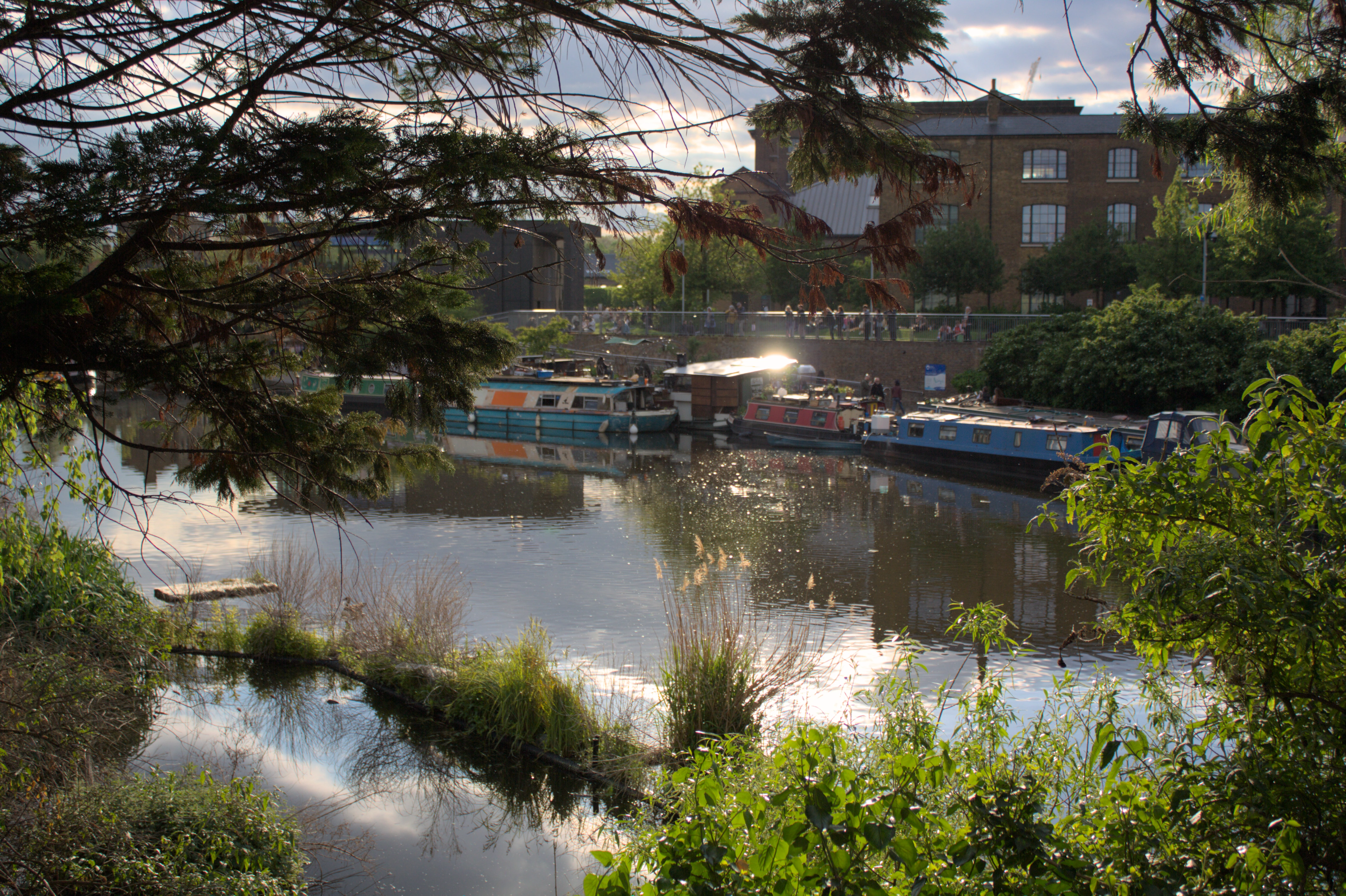 A canal with some colourful painted boats moored at the edge, the sun flashing off one of them and sparkling on the water. Leaves and branches in the foreground